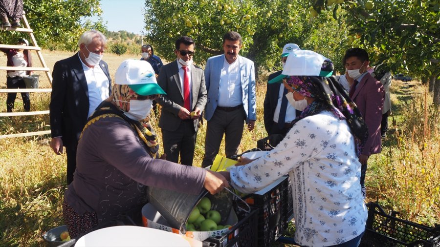 Dünya Çiftçi Kadınlar Günü'nde Bozkır'da Çiftçi Kadınlara Ziyaret
