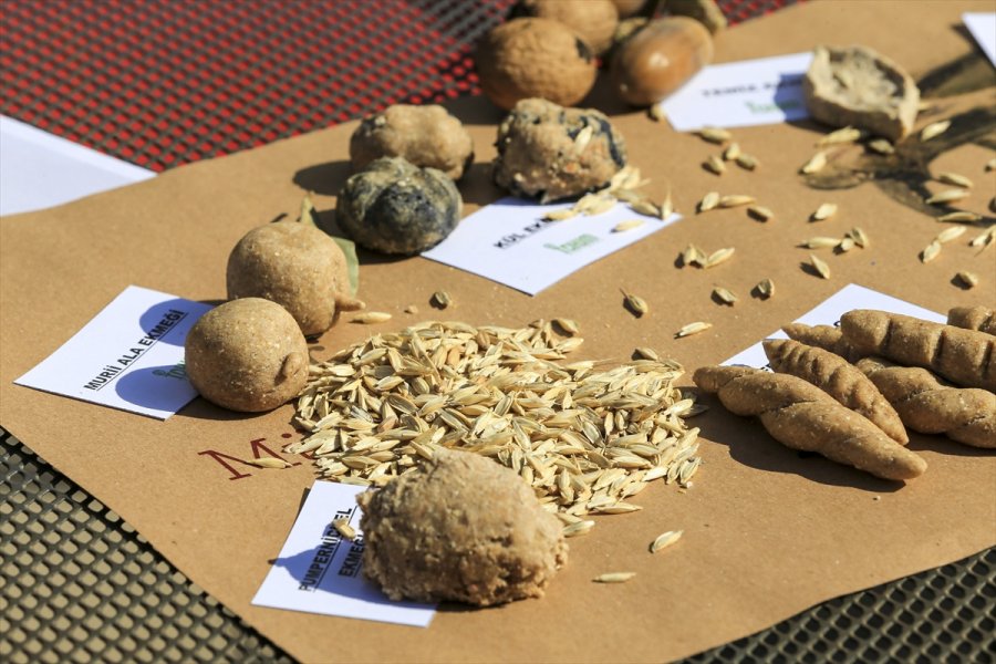 İsrafa Dikkati Çekmek İçin Tarihi Ekmeklerin Minyatürlerini Yaptılar