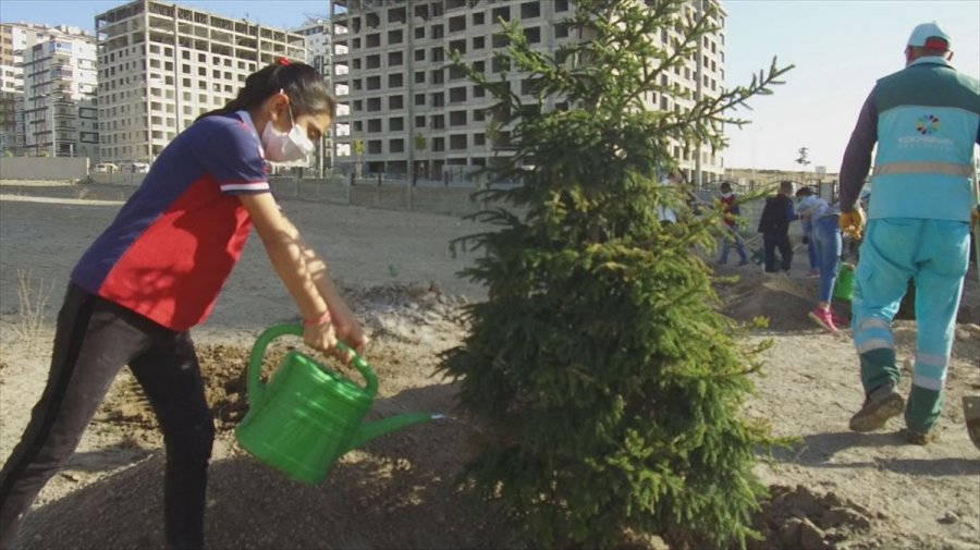 Kocasinan Belediyesinden Ağaçlandırma Çalışmalarına Destek