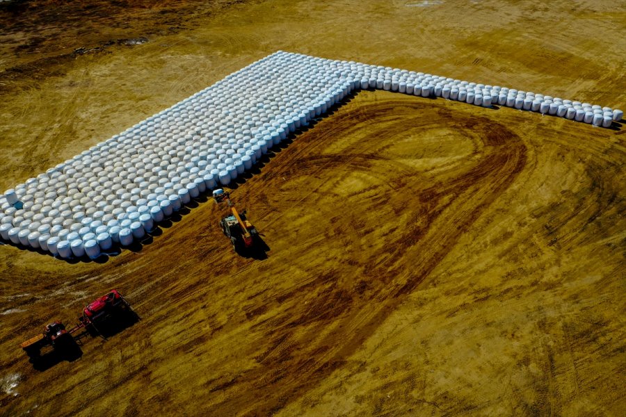 Örtü Altı Tarımda Söz Sahibi Antalya'da 300 Bin Tonluk Silajlık Mısır Üretimi