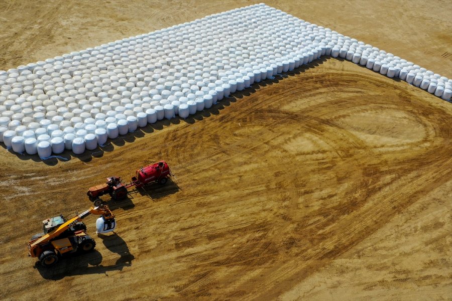 Örtü Altı Tarımda Söz Sahibi Antalya'da 300 Bin Tonluk Silajlık Mısır Üretimi
