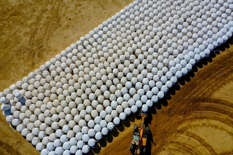 Örtü Altı Tarımda Söz Sahibi Antalya'da 300 Bin Tonluk Silajlık Mısır Üretimi