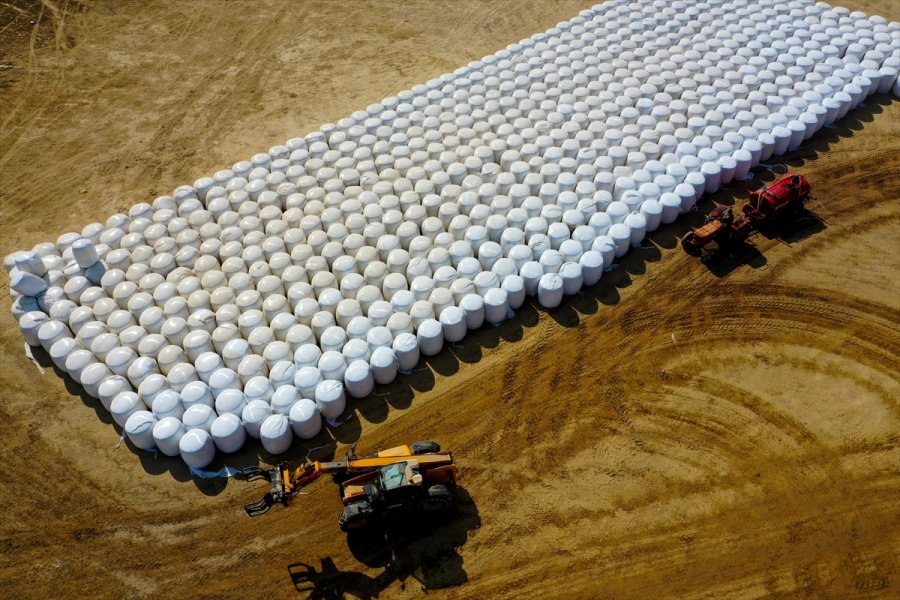 Örtü Altı Tarımda Söz Sahibi Antalya'da 300 Bin Tonluk Silajlık Mısır Üretimi