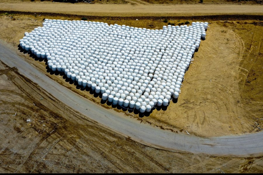 Örtü Altı Tarımda Söz Sahibi Antalya'da 300 Bin Tonluk Silajlık Mısır Üretimi