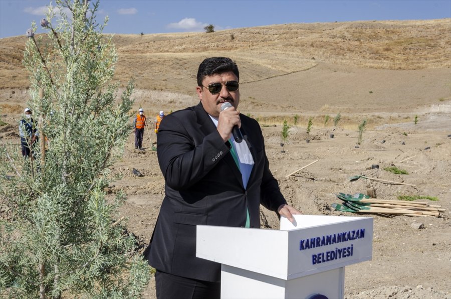 Kahramankazan'dan Hatay'da Yanan Ormanlık Alanın Ağaçlandırılması İçin Kampanya