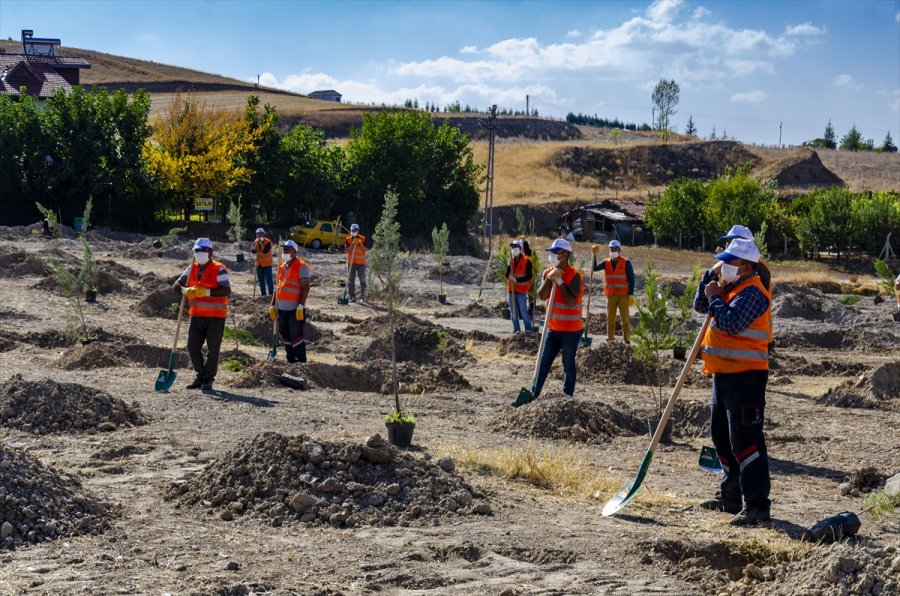 Kahramankazan'dan Hatay'da Yanan Ormanlık Alanın Ağaçlandırılması İçin Kampanya