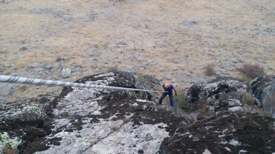 Niğde'de Kayalıklarda 5 Gün Mahsur Kalan Keçiler Afad Ekiplerince Kurtarıldı