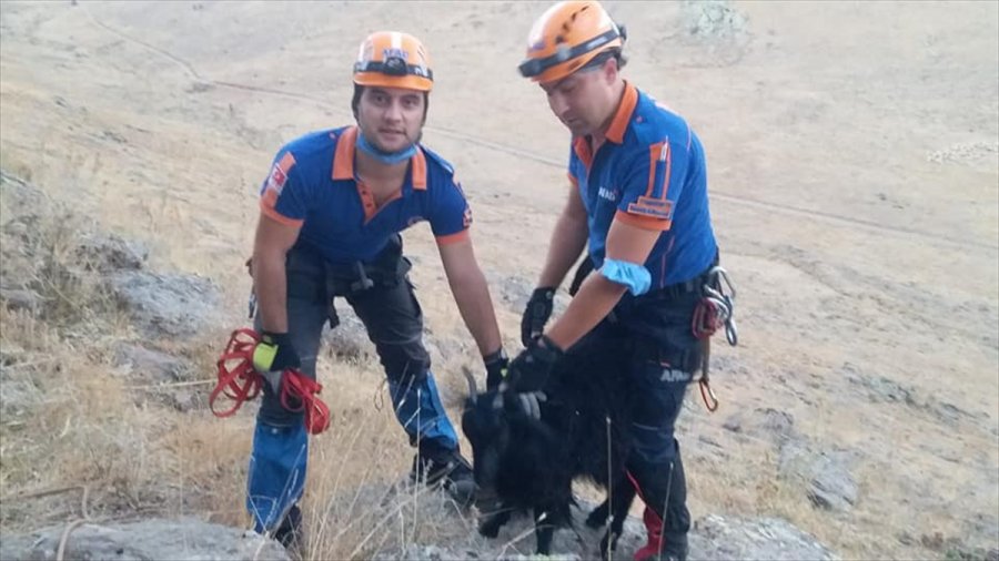 Niğde'de Kayalıklarda 5 Gün Mahsur Kalan Keçiler Afad Ekiplerince Kurtarıldı