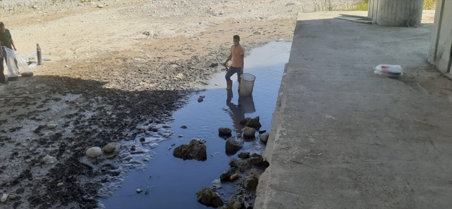 Antalya'da Su Birikintisinde Kalan 50 Bin Balık Kurtarıldı