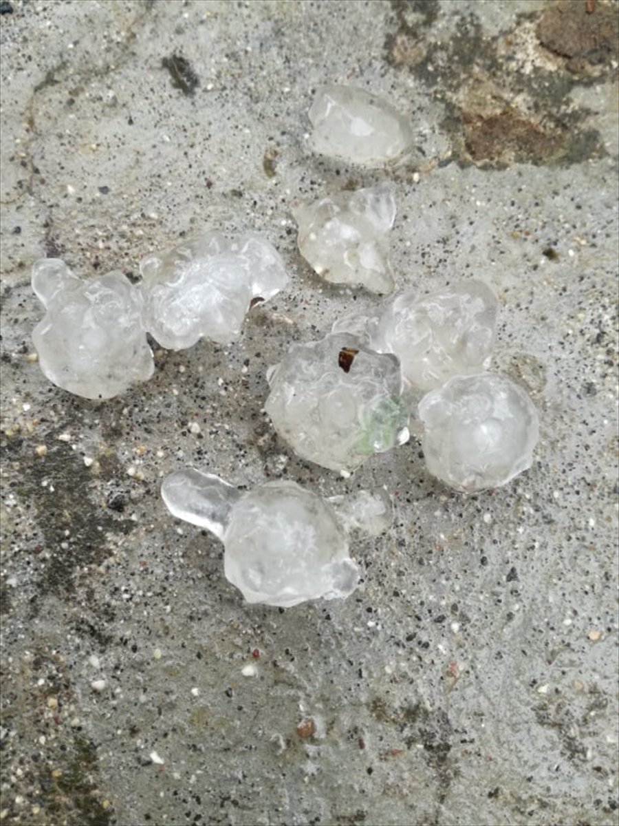 Antalya'da Dolu Yağışı Meyve Ağaçlarına Zarar Verdi