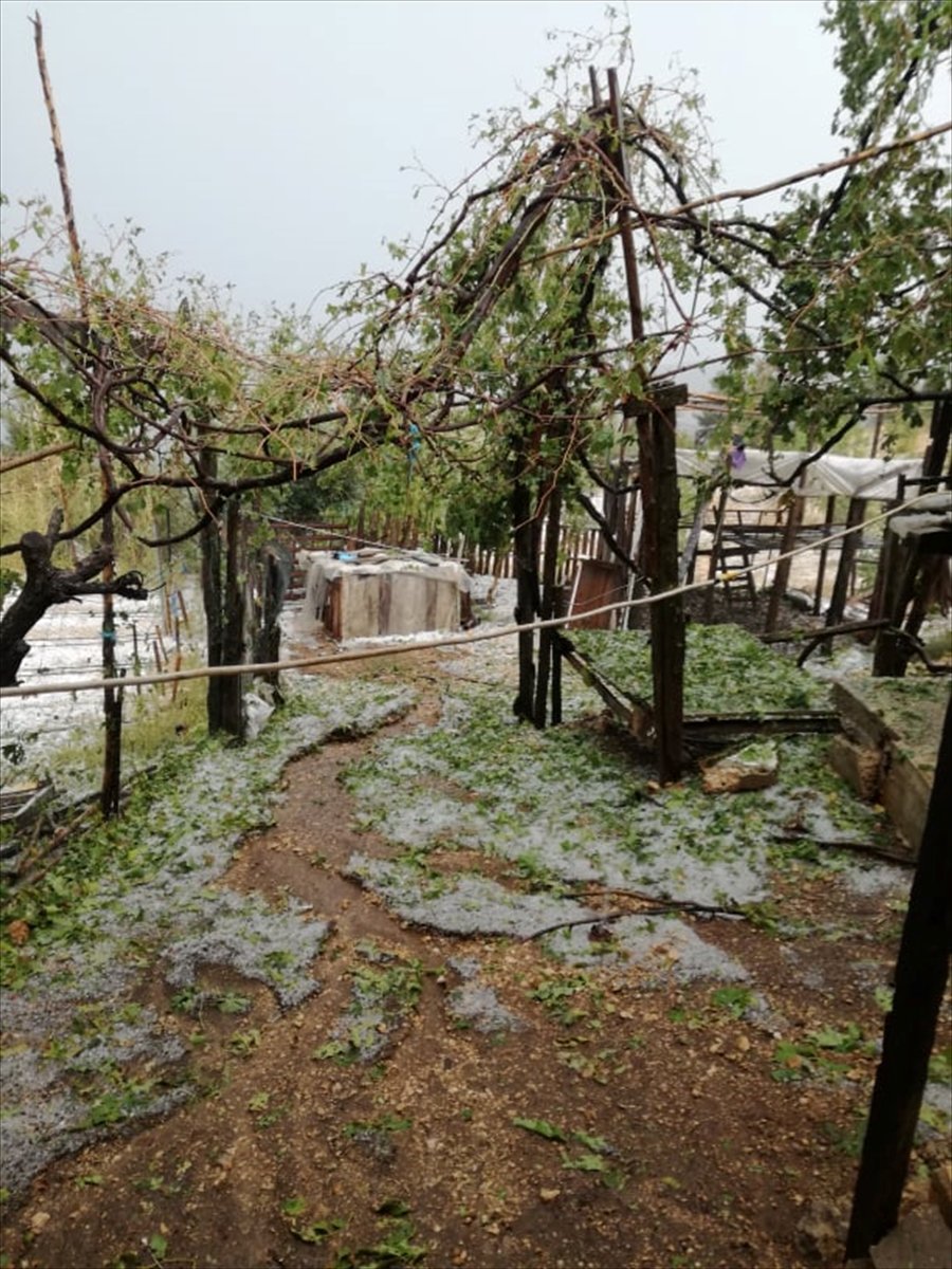 Antalya'da Dolu Yağışı Meyve Ağaçlarına Zarar Verdi