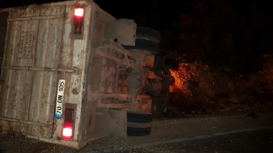 Mersin'de Hayvan Yüklü Kamyon Devrildi