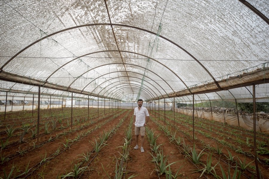 Mutluluğu Toprakla Uğraşmakta Buldu