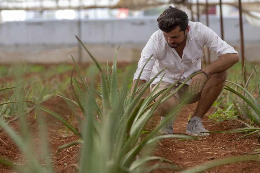 Mutluluğu Toprakla Uğraşmakta Buldu