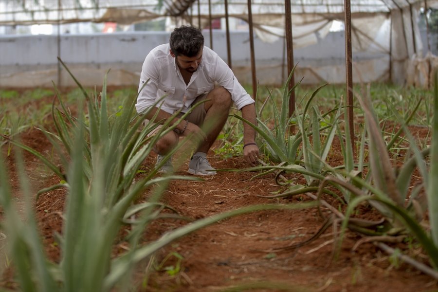 Mutluluğu Toprakla Uğraşmakta Buldu
