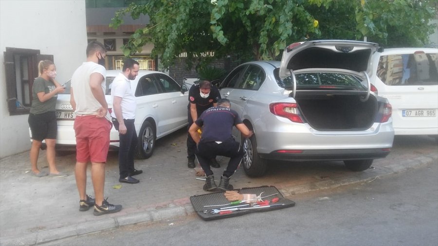 Antalya'da Otomobilin Çamurluk Kısmına Sıkışan Kedi Kurtarıldı