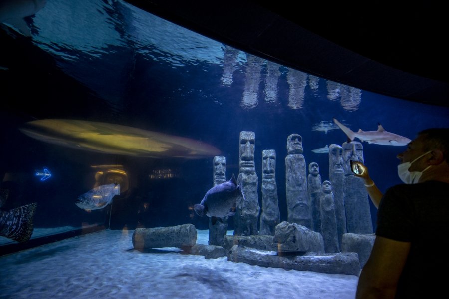 Antalya Akvaryum Kovid-19 Tedbirleriyle Ziyaretçi Ağırlıyor