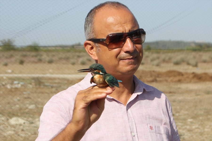 Antalya'daki Boğazkent Kuş Halkalama İstasyonu'nda Kuşlar Takibe Alınıyor