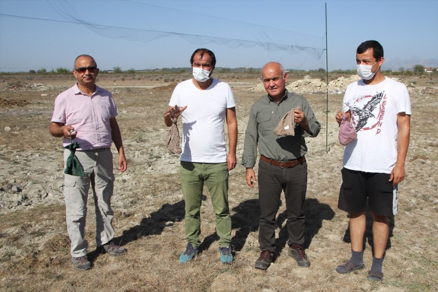 Antalya'daki Boğazkent Kuş Halkalama İstasyonu'nda Kuşlar Takibe Alınıyor
