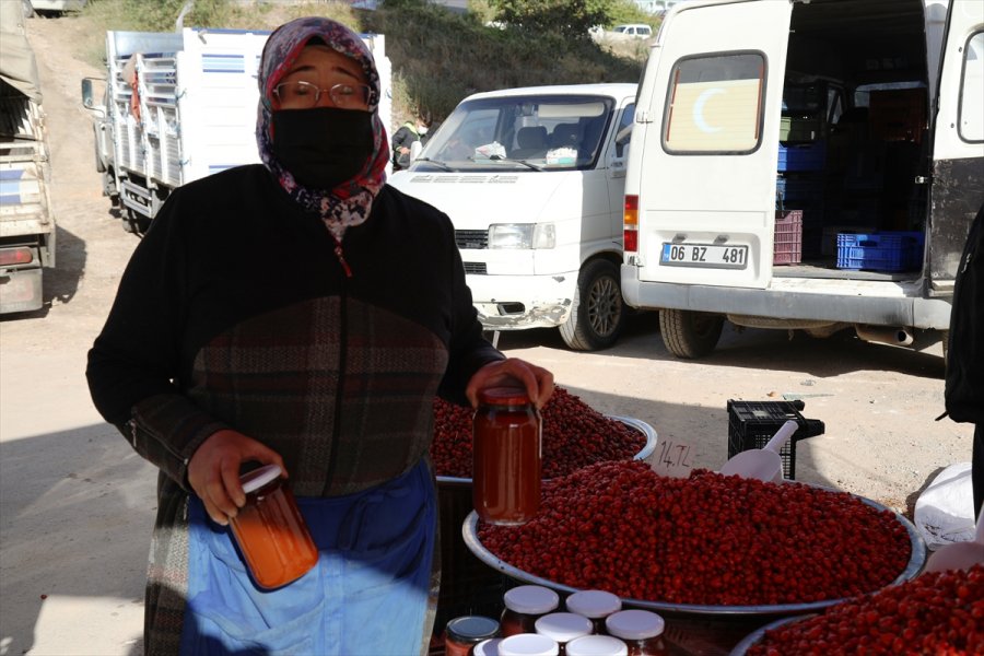 Çubuk'un Dağlarında Yetişen Yaban Meyveleri Pazar Tezgahlarını Süslüyor