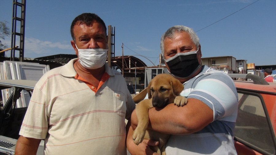 Mersin'de Hurda Otomobilin Altına Sıkışan Köpek Yavrusunu Esnaf Kurtardı