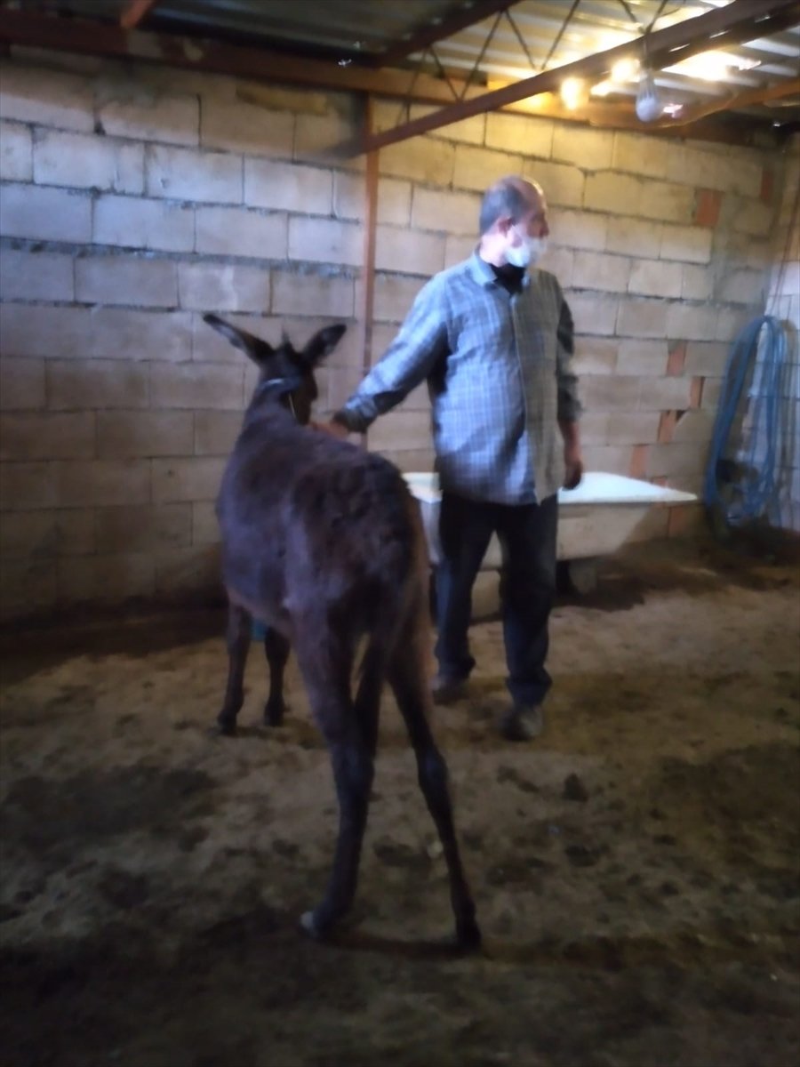 Konya'dan Kısa Kısa