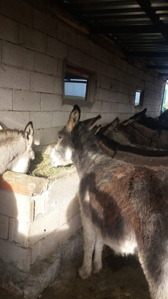 Konya'dan Kısa Kısa