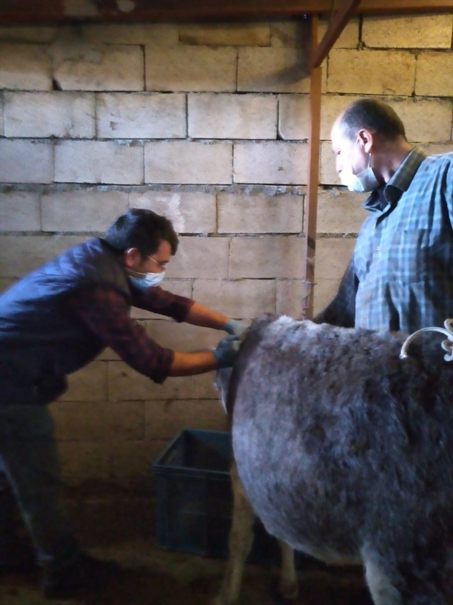 Konya'dan Kısa Kısa