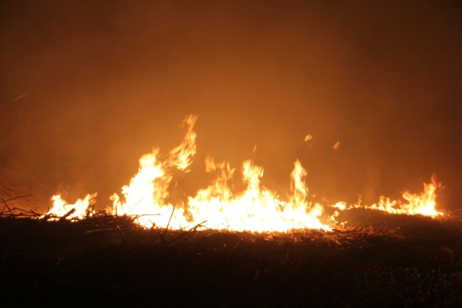Mersin'de Araştırma Enstitüsünün Bahçesinde Çıkan Yangın Söndürüldü