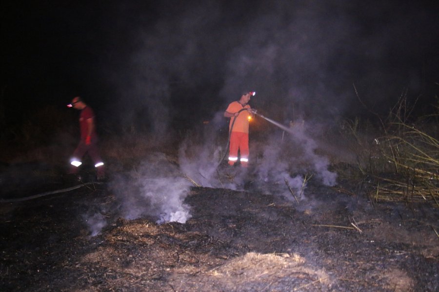 Mersin'de Araştırma Enstitüsünün Bahçesinde Çıkan Yangın Söndürüldü
