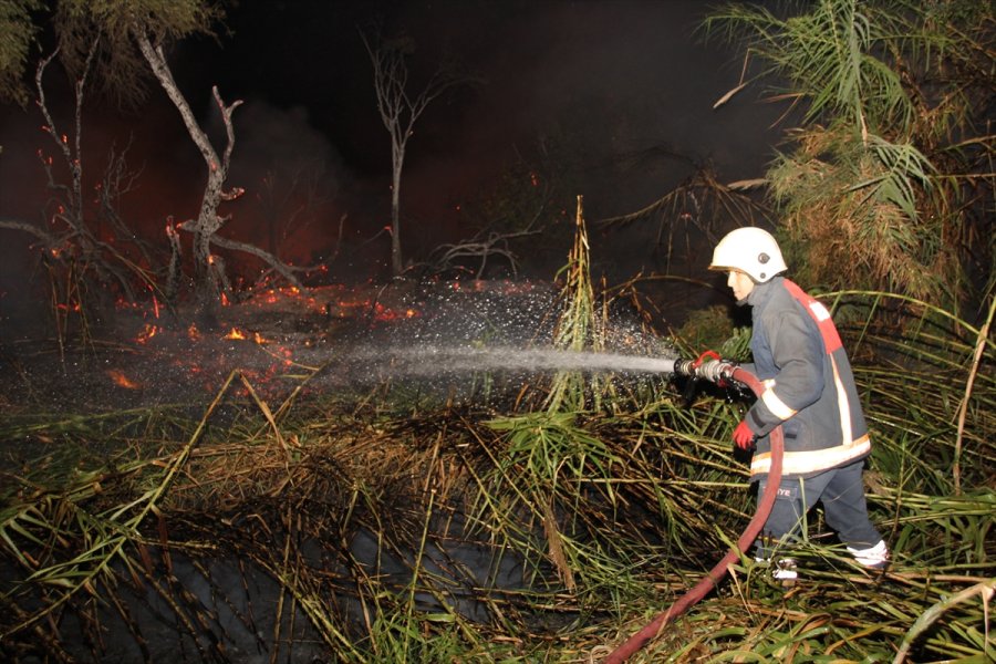 Mersin'de Araştırma Enstitüsünün Bahçesinde Çıkan Yangın Söndürüldü