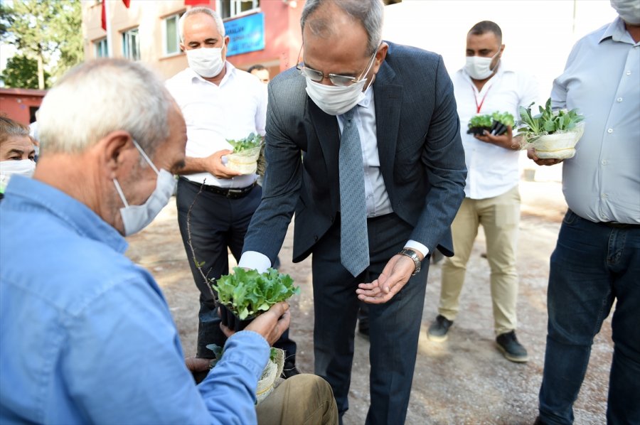 Tarsus Belediyesi Gen Bankası'nda Ata Tohum Sayısı 20 Milyona Ulaştı