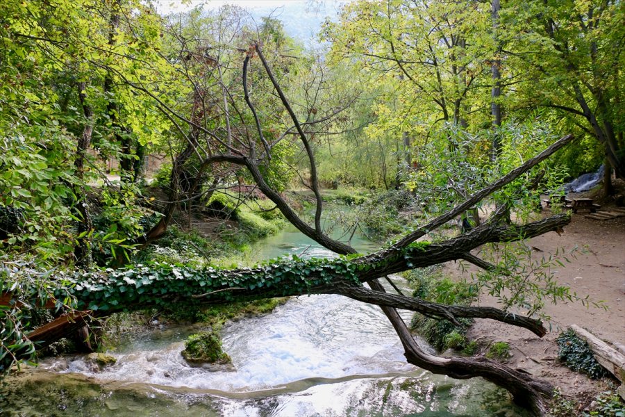 Gürleyik Çayı Sonbahar Renkleriyle Hayran Bırakıyor