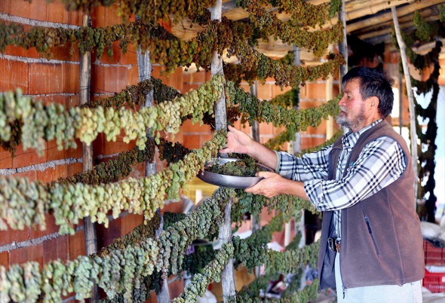 Konya'da Tavan Arasında Kurutulan Yeşil Kuru Üzüm Benzersiz Tadıyla İlgi Görüyor