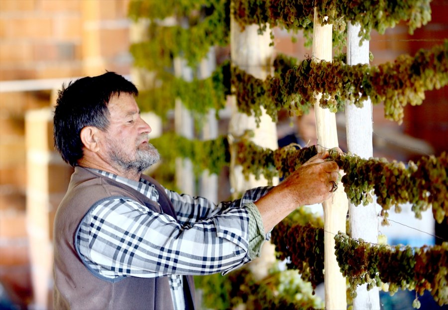 Konya'da Tavan Arasında Kurutulan Yeşil Kuru Üzüm Benzersiz Tadıyla İlgi Görüyor