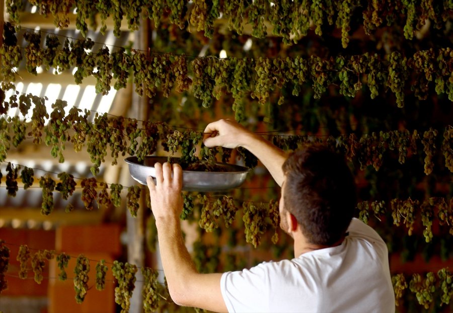 Konya'da Tavan Arasında Kurutulan Yeşil Kuru Üzüm Benzersiz Tadıyla İlgi Görüyor