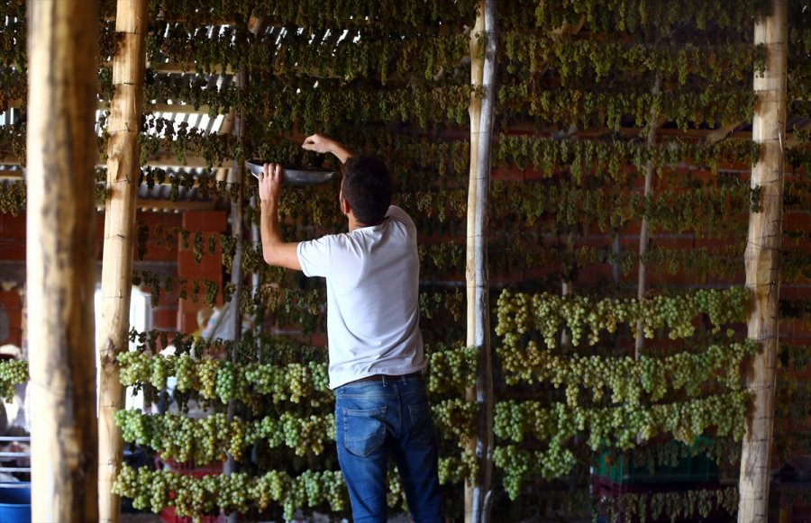 Konya'da Tavan Arasında Kurutulan Yeşil Kuru Üzüm Benzersiz Tadıyla İlgi Görüyor