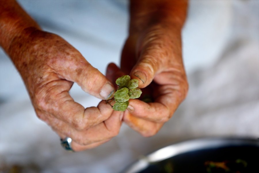 Konya'da Tavan Arasında Kurutulan Yeşil Kuru Üzüm Benzersiz Tadıyla İlgi Görüyor