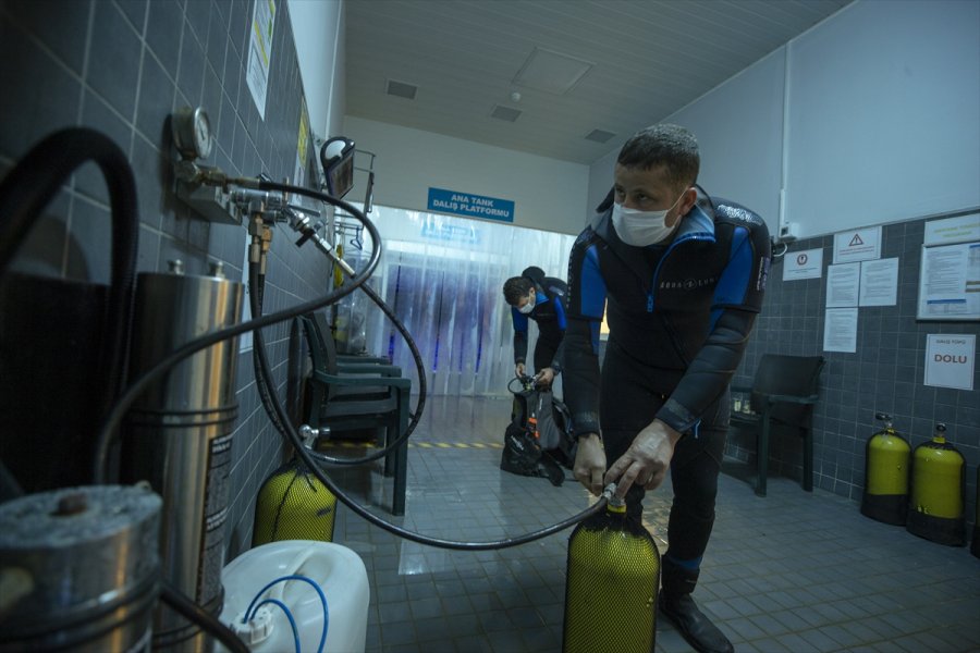 Akvaryum Dalgıçları Ekmek Parasını Köpek Balıklarını Besleyerek Kazanıyor