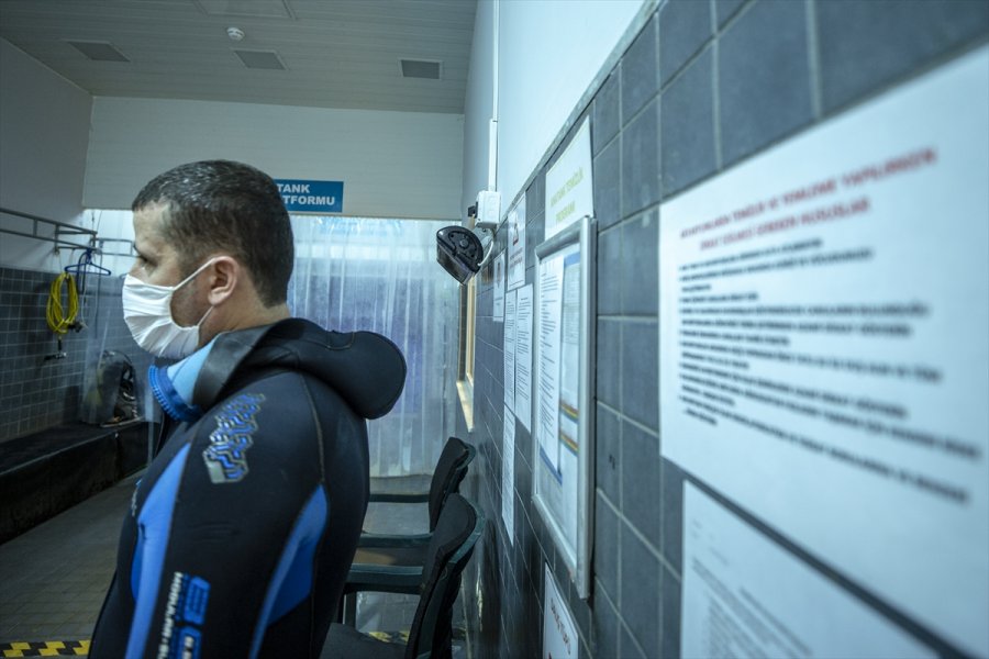 Akvaryum Dalgıçları Ekmek Parasını Köpek Balıklarını Besleyerek Kazanıyor