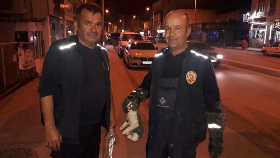 Karapınar'da Aracın Motor Bölümüne Sıkışan Kediyi İtfaiye Kurtardı