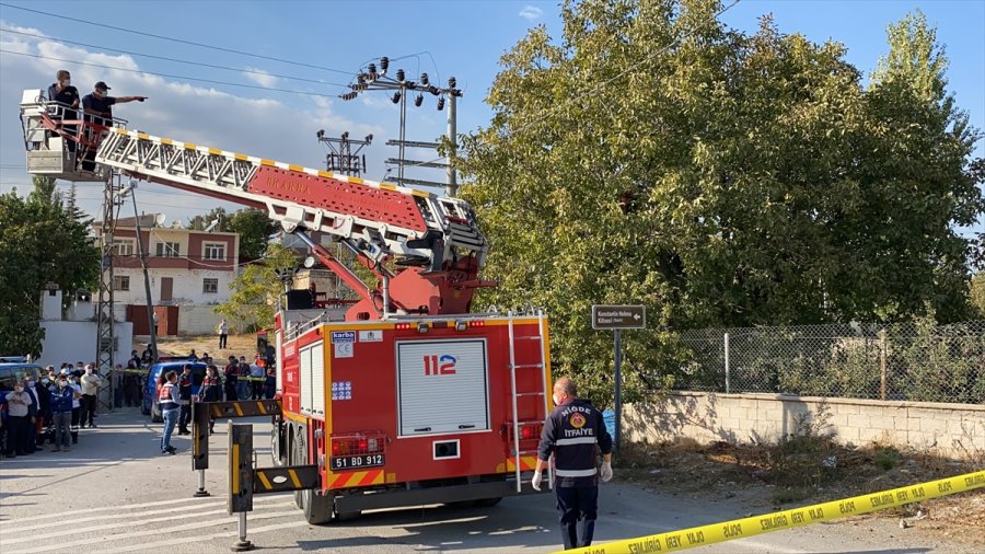 Niğde'de Ceviz Toplarken Elektrik Akımına Kapılan Kişi Öldü
