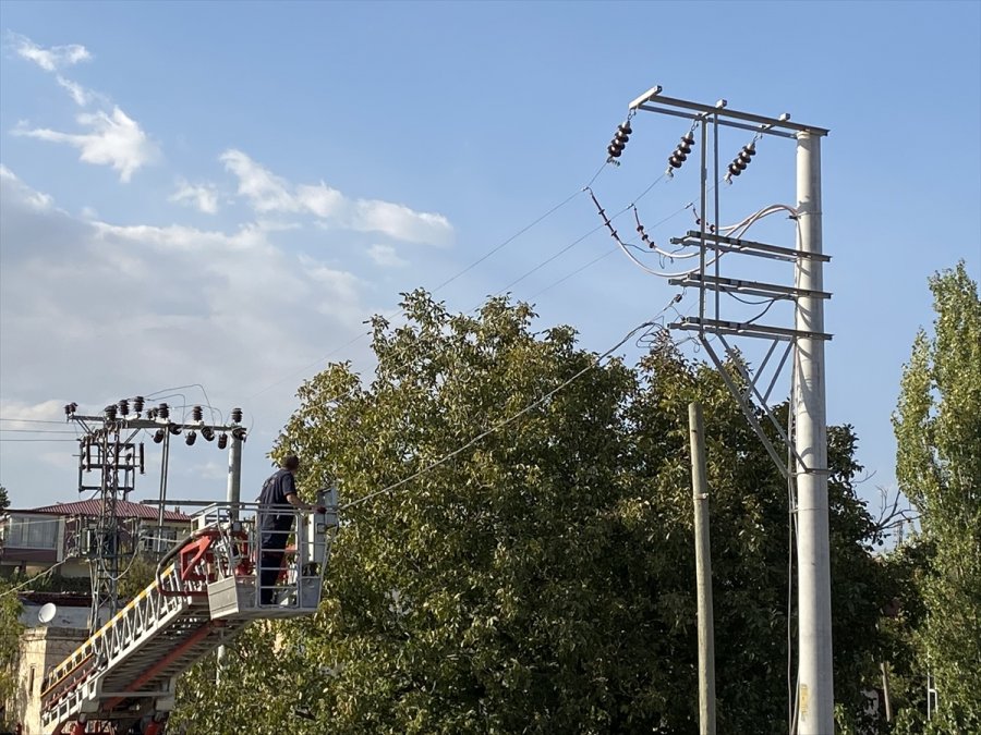Niğde'de Ceviz Toplarken Elektrik Akımına Kapılan Kişi Öldü