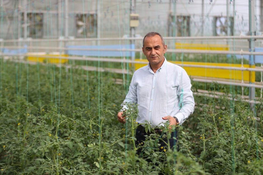 Türkiye'nin Yerli Ve Milli Sebze Tohumları Kadınlara Emanet