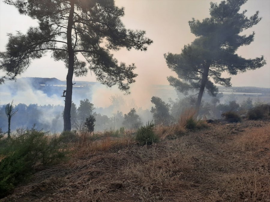 Antalya'da Çıkan Orman Yangınları Söndürüldü