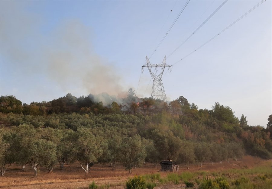 Antalya'da Çıkan Orman Yangınları Söndürüldü
