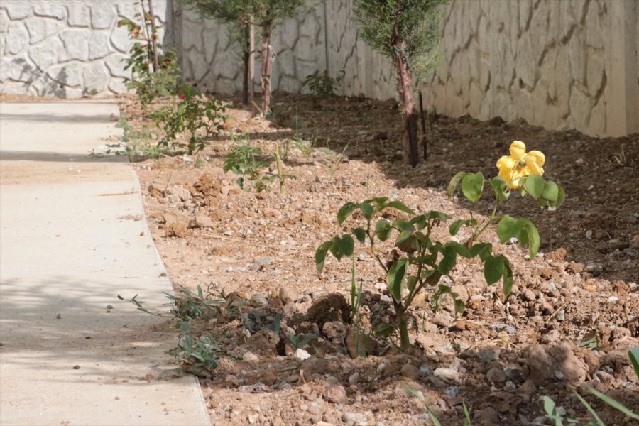 Beyşehir'de Camilerin Bahçeleri Peyzaj Çalışmalarıyla Yenileniyor