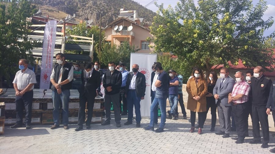Bozkır'da 133 Üretici Ve Bir Kooperatif Desteklemelerini Aldı
