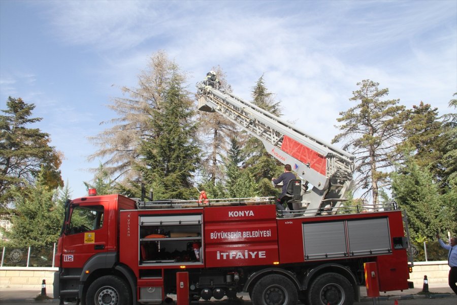 Çıktığı Ağaçtan İnemeyen Kediyi İtfaiye Ekipleri Kurtardı