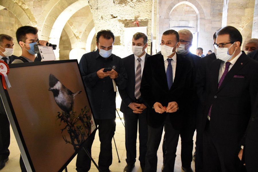 Enerji Ve Tabii Kaynaklar Bakanı Dönmez, Aksaray'da: